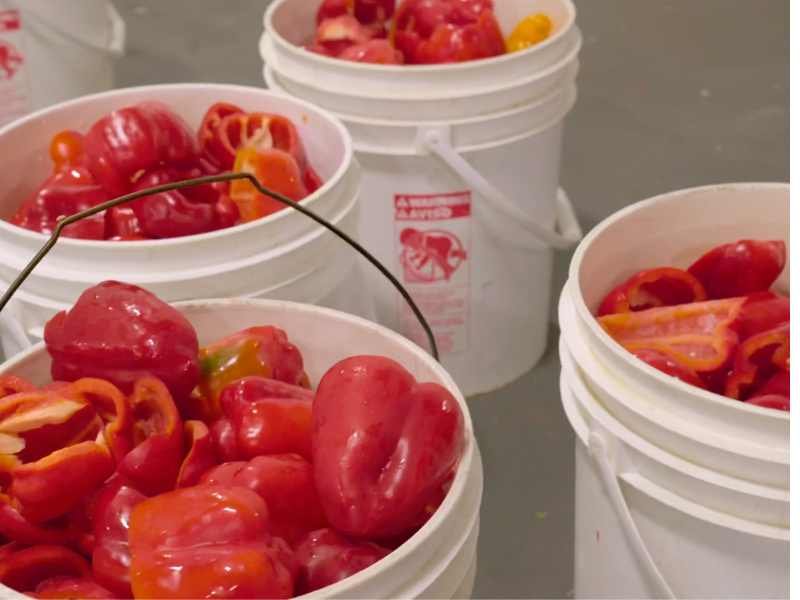 Buckets of chopped peppers.