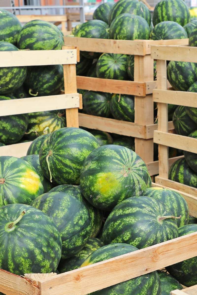 Crates of watermelon.