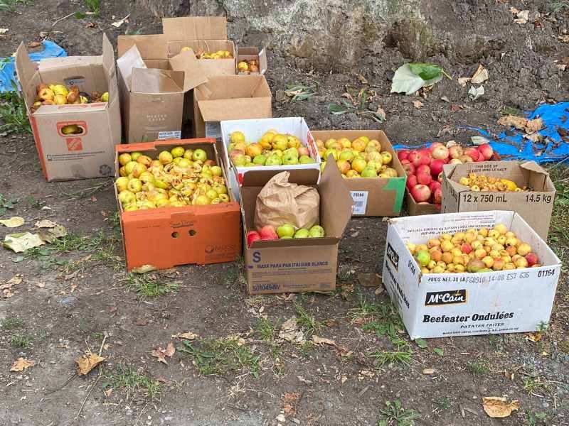 Boxes of produce, ready for collection.